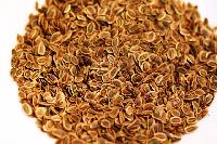 Dill  Seed -  Anethum graveolens seed