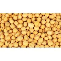 Yellow Soybean Seeds