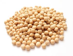 soybean seeds