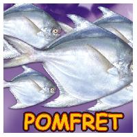 Britte Ready to Cook Pomfret (Cleaned), 454 gm