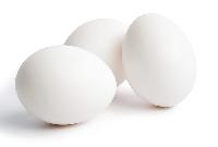 Creamy White Chicken Eggs