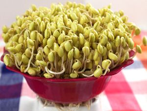 Sprouted Soybean