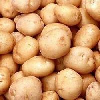 Badshah Potato