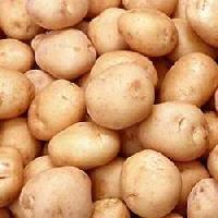 Laukar Potato