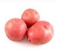 Red Laukar Potatoes