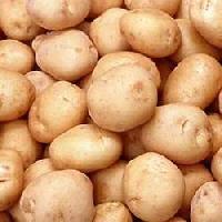 White Laukar Potatoes