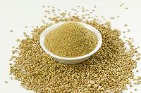 coriander powder