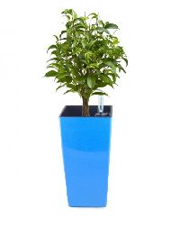 Self Watering Ices Hydro Planter Pots