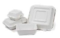 Bagasse Container Box