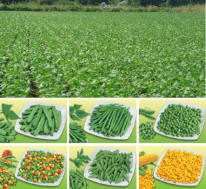 Greek Frozen Vegetables