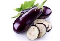 fresh brinjal