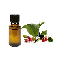 Ooty Wintergreen Oil