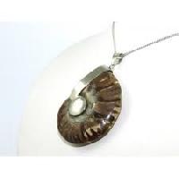 Ammonite Fossil Shells Pendant
