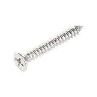 Phillips Head Self Tapping Screw