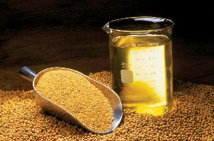 Soybean Oil Meal