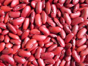 Rajma (Red Kidney Beans)