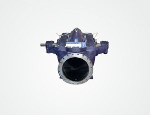 Axial Split Volute Case Pumps