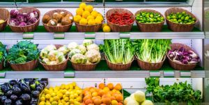 Animal Clothing & Accessories