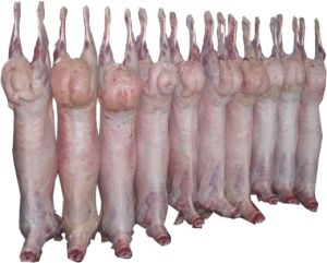 Frozen Whole Lamb