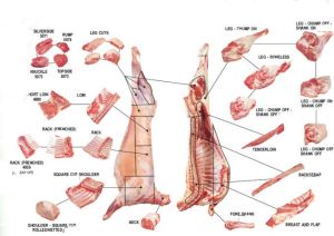 Frozen Lamb Parts
