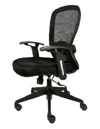 Sitting Executive Chair