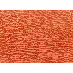 Orange Snake Texture Leather