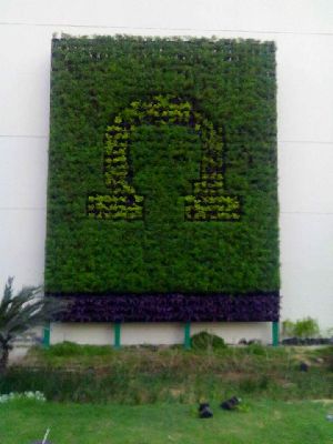 vertical green wall
