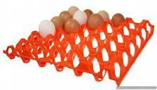 30 Eggs Holder Tray
