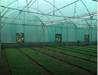 Hi-Tech Agriculture Shade Nets