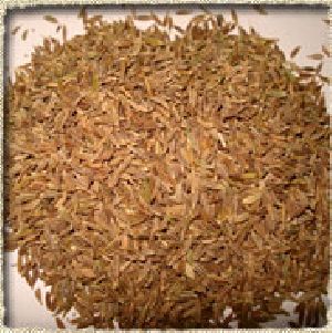 cumin seeds