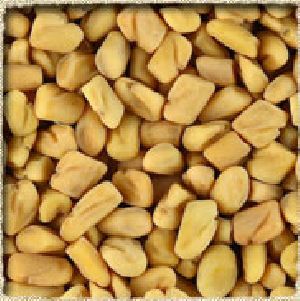 fenugreek