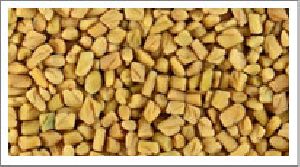 fenugreek