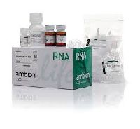 rna isolation kit