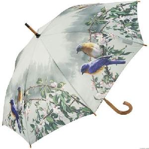Kaushar Umbrella