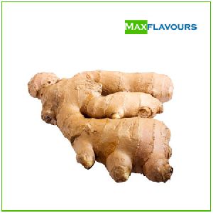 fresh ginger