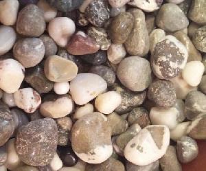 Zebra Pebble Stones