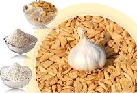 Dehydrated Garlic Products