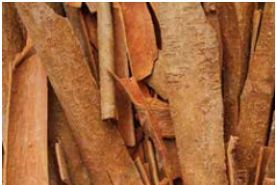 Cinamon Sticks