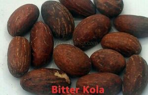 Bitter Kola Nuts