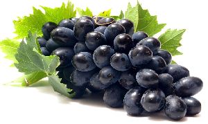 fresh black grapes