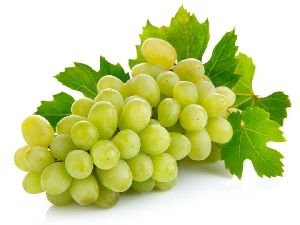 fresh green grapes