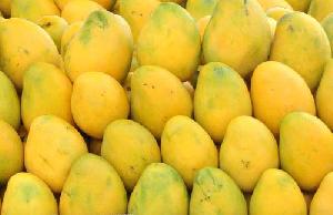 fresh mango