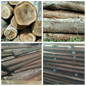 Acacia Sawn Timber