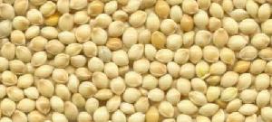 White Millet (Jowar)