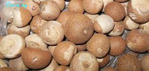 Raw GMO Areca Nuts, Packaging Type : customer demands