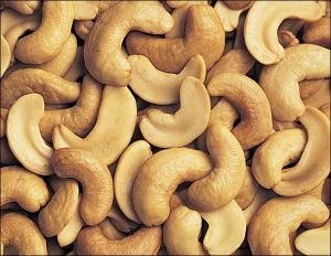 cashew nuts, Packaging Type : 11.34 kgs, 22.68 kgs)
