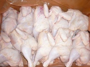 Halal Whole Frozen Chicken