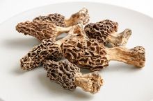 Dried Morel Mushrooms