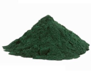 Hot Sell Organic Spirulina Powder