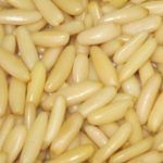 Raw Processing Pine Nut Kernels